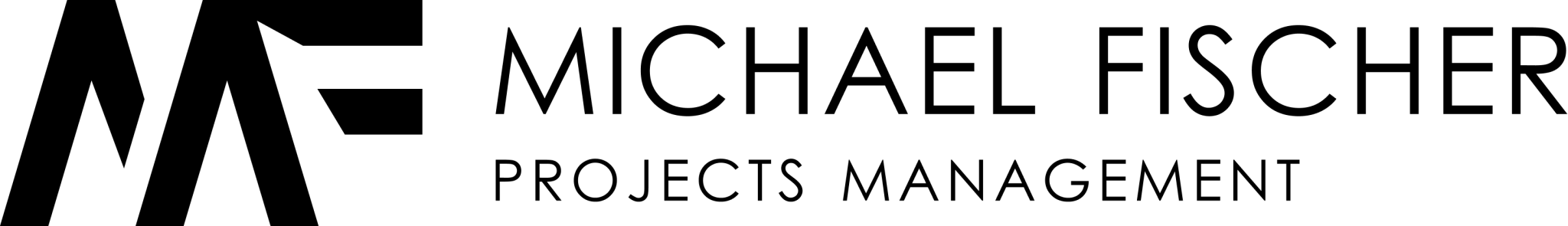 מיכאל פישר חברת ניהול פרויקטים